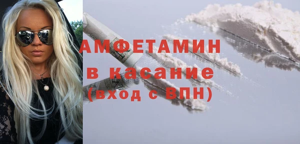 гидра Рославль