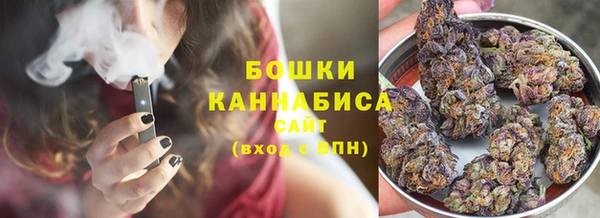 гидра Рославль